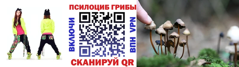 Псилоцибиновые грибы прущие грибы  Амурск 